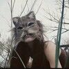 furry_the_furry